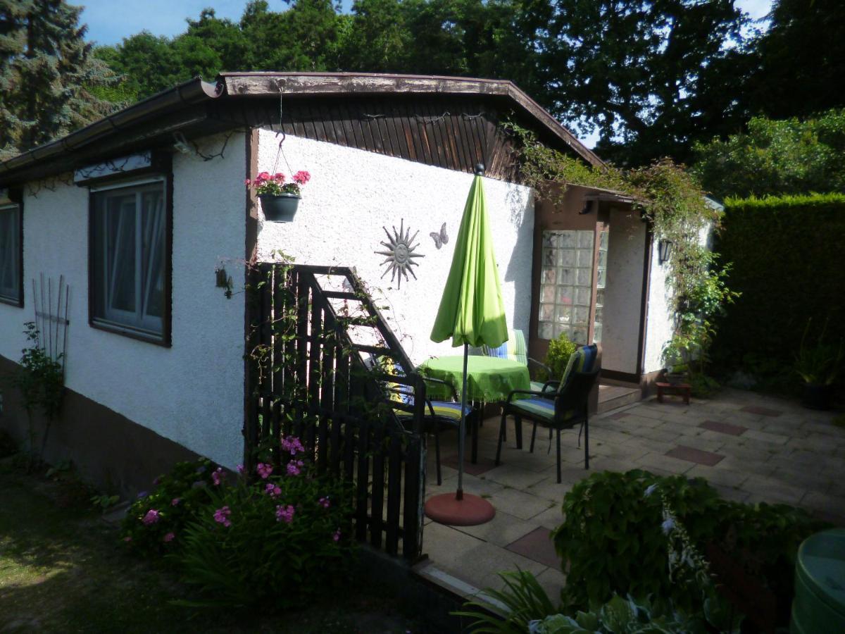 Ferienhaus Anne Thale Exterior photo